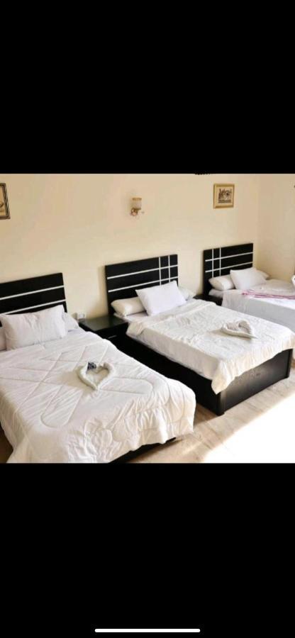 Anubis Pyramids Inn Каир Экстерьер фото